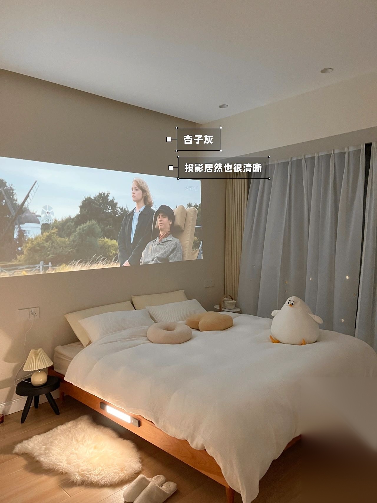 案例图片